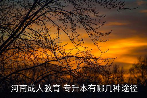  河南成人教育 專(zhuān)升本有哪幾種途徑