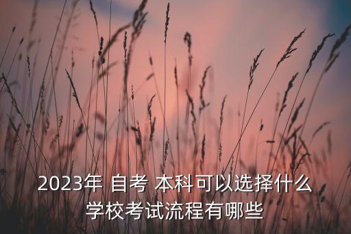 2023年 自考 本科可以選擇什么學(xué)?？荚嚵鞒逃心男? class=