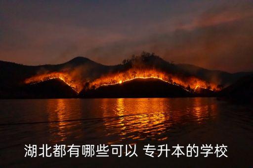 江漢大學(xué)專升本簡(jiǎn)章