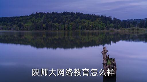 陜師大網(wǎng)絡教育怎么樣