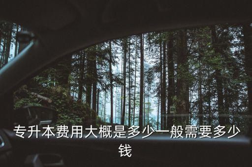  專(zhuān)升本費(fèi)用大概是多少一般需要多少錢(qián)