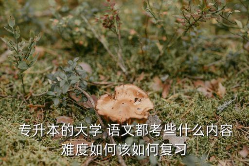  專升本的大學 語文都考些什么內(nèi)容難度如何該如何復習