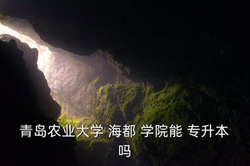 青島農(nóng)業(yè)大學(xué) 海都 學(xué)院能 專升本嗎