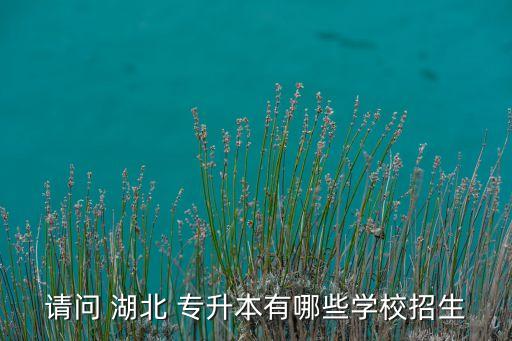 湖北自考專升本院校咋呀,海南自考專升本院校有哪些