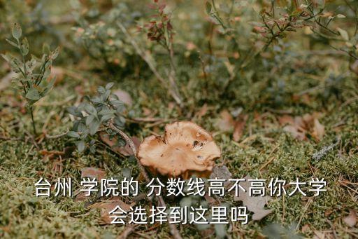臺州學院2017年專升本錄取分數(shù)線,2017年吉林省專升本錄取分數(shù)線