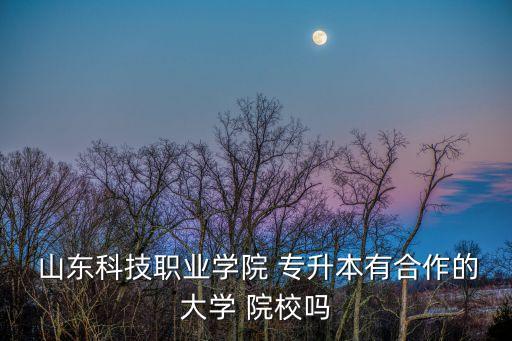  山東科技職業(yè)學(xué)院 專升本有合作的大學(xué) 院校嗎