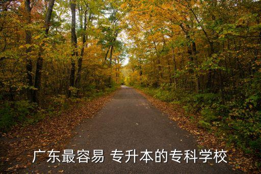 廣東最容易 專升本的專科學校