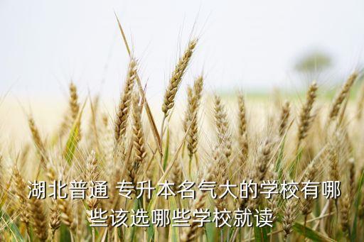 湖北師范大學(xué)專(zhuān)升本哪個(gè)專(zhuān)好