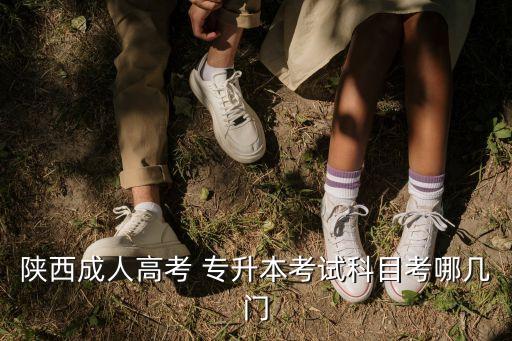 陜西成人高考 專升本考試科目考哪幾門