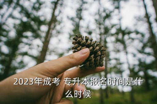 2023年成考 專升本報名時間是什么時候