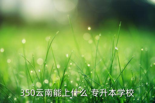 云南省音樂(lè)教育專(zhuān)升本,音樂(lè)教育專(zhuān)升本可以考什么專(zhuān)業(yè)