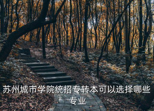 蘇州城市學(xué)院統(tǒng)招專(zhuān)轉(zhuǎn)本可以選擇哪些 專(zhuān)業(yè)