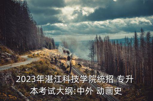 2023年湛江科技學(xué)院統(tǒng)招 專升 本考試大綱:中外 動(dòng)畫史