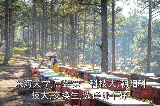  東海大學(xué),高雄第一科技大,朝陽(yáng)科技大,交換生,選擇哪個(gè)好