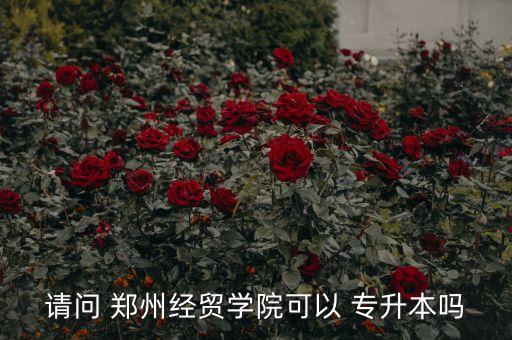 請(qǐng)問(wèn) 鄭州經(jīng)貿(mào)學(xué)院可以 專(zhuān)升本嗎