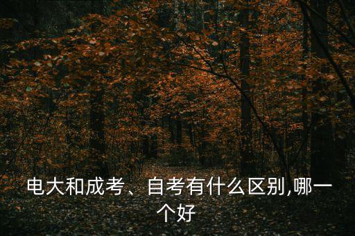  電大和成考、自考有什么區(qū)別,哪一個好