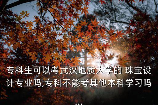 專升本中國地質(zhì)大學(xué)珠寶學(xué)院,中國地質(zhì)大學(xué)珠寶學(xué)院成人教育