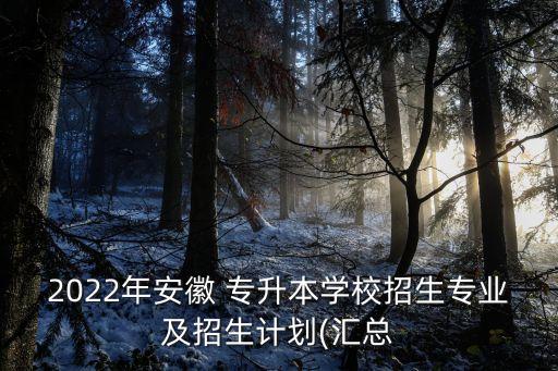 2022年安徽 專升本學(xué)校招生專業(yè)及招生計劃(匯總