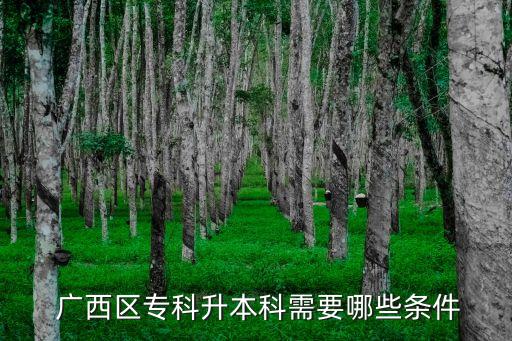廣西專升本考試報(bào)名