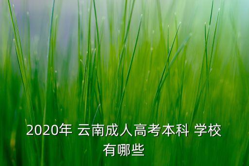 云南成考專升本學校,成考專升本需要在學校上課嗎
