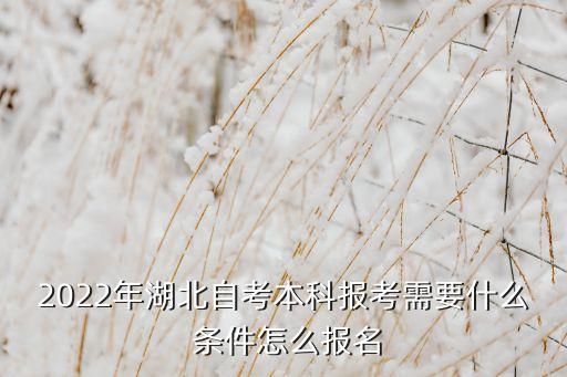 2022年湖北自考本科報考需要什么 條件怎么報名
