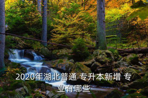 攝影專業(yè)的專升本學(xué)校有哪些,浙江攝影專升本學(xué)校有哪些