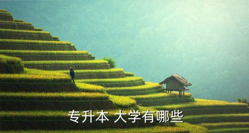  專升本 大學有哪些