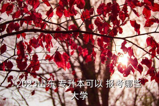 怎么報考東昌學(xué)院專升本,東昌學(xué)院2022年專升本分?jǐn)?shù)線