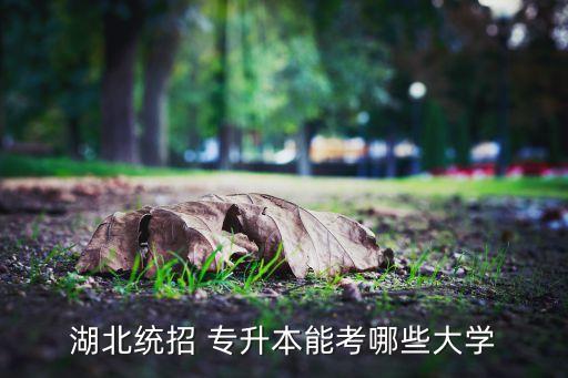 湖北統(tǒng)招 專升本能考哪些大學(xué)