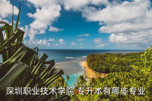 深圳職業(yè)技術學院 專升本有哪些專業(yè)