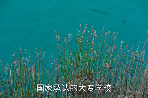 國家承認的大專學(xué)校