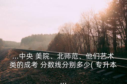 ...中央 美院、北師范、他們藝術(shù)類的成考 分?jǐn)?shù)線分別多少( 專升本...