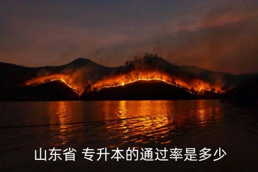  山東省 專(zhuān)升本的通過(guò)率是多少