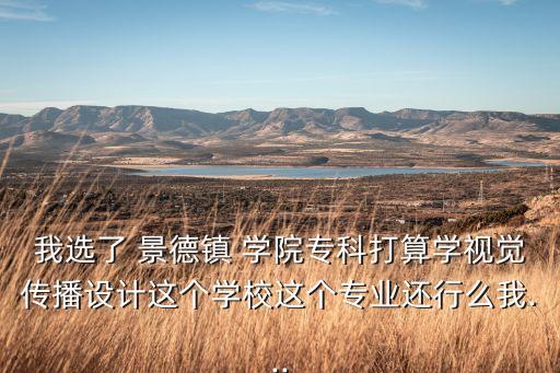 我選了 景德鎮(zhèn) 學院?？拼蛩銓W視覺傳播設(shè)計這個學校這個專業(yè)還行么我...
