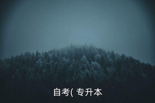 自考( 專升本