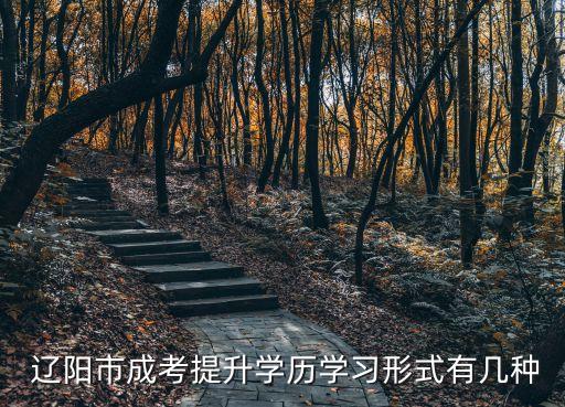  遼陽(yáng)市成考提升學(xué)歷學(xué)習(xí)形式有幾種