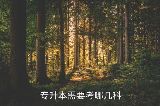 稅務專升本考什么科目,藝術生專升本需要考什么科目