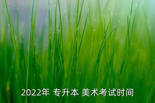 2022年 專(zhuān)升本 美術(shù)考試時(shí)間