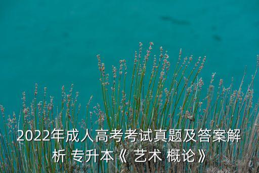 2022年成人高考考試真題及答案解析 專升本《 藝術(shù) 概論》