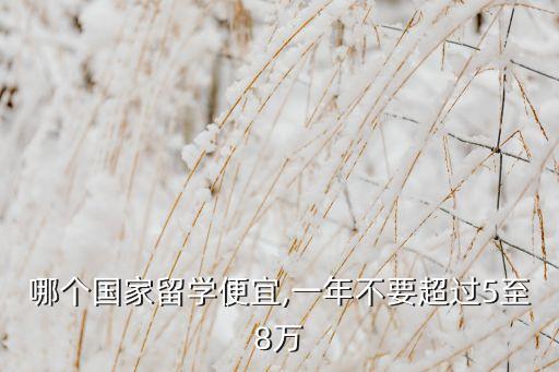 哪個國家留學便宜,一年不要超過5至8萬