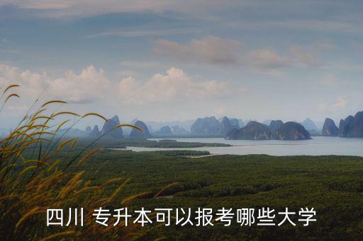 四川 專(zhuān)升本可以報(bào)考哪些大學(xué)