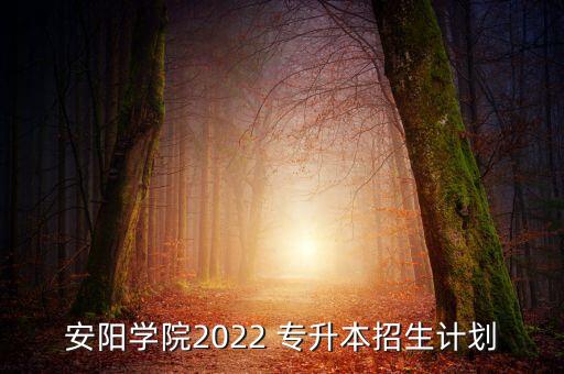安陽(yáng)學(xué)院2022 專(zhuān)升本招生計(jì)劃