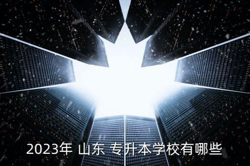 2023年 山東 專升本學(xué)校有哪些
