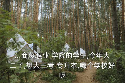 ...商貿(mào)職業(yè) 學(xué)院的學(xué)生,今年大二了,想大三考 專(zhuān)升本,哪個(gè)學(xué)校好呢
