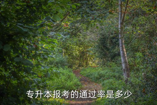  專(zhuān)升本報(bào)考的通過(guò)率是多少
