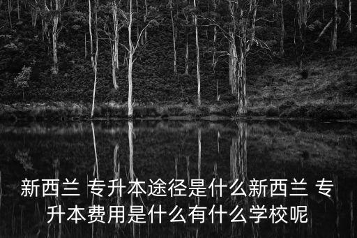 新西蘭 專升本途徑是什么新西蘭 專升本費(fèi)用是什么有什么學(xué)校呢