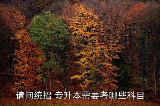 請(qǐng)問統(tǒng)招 專升本需要考哪些科目