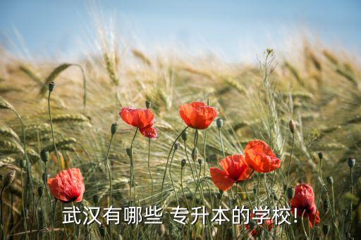 武漢有哪些 專升本的學(xué)校!