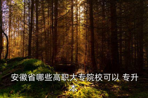  安徽省哪些高職大專院?？梢?專升本