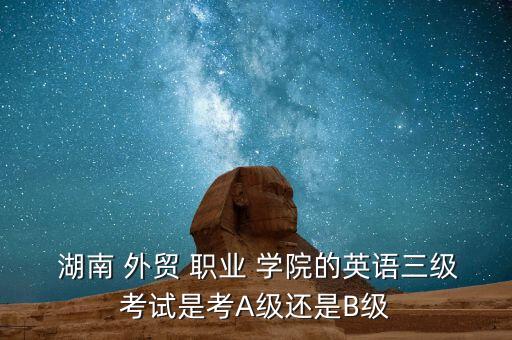  湖南 外貿(mào) 職業(yè) 學(xué)院的英語三級考試是考A級還是B級